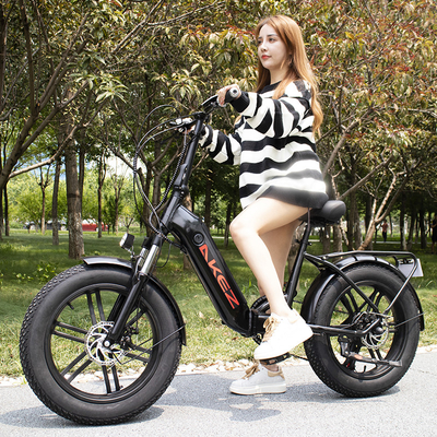 Van de het Lithiumbatterij van vrouwen Elektrisch de Fiets Intelligent Brushless Controlemechanisme