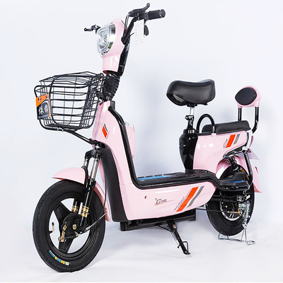 De Hoge Afstand in mijlen die van het staalkader Elektrische Motorfiets met Lood Zure Batterij rennen