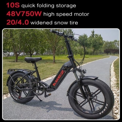 60km Aluminiumlegering 21 Dubbele de Schijfrem van de Snelheids Elektrische Fiets