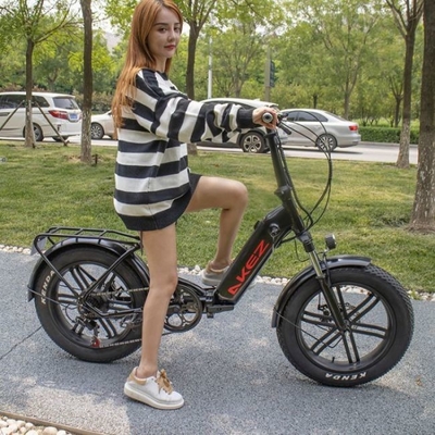 60km Aluminiumlegering 21 Dubbele de Schijfrem van de Snelheids Elektrische Fiets