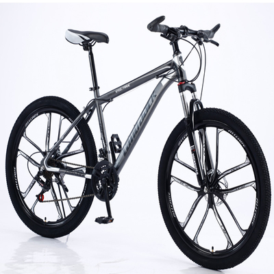 Hoog Koolstofstaal Unfoldable 26“ Off Road-Bergfiets