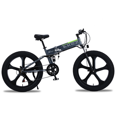 Van de het Lithiumbatterij van de magnesiumlegering de Elektrische Fiets, de Elektrische Fiets van 48V 500W