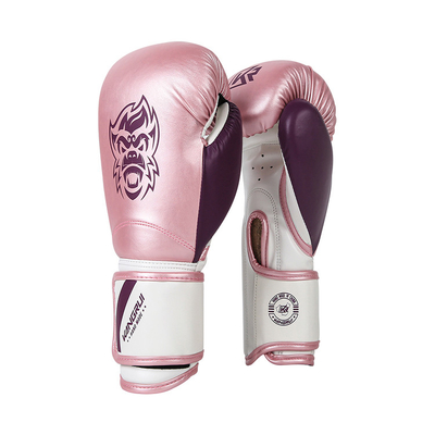 Pu het Leer EVA Gym Boxing Protective Gear Gloves In te ademen Beroeps